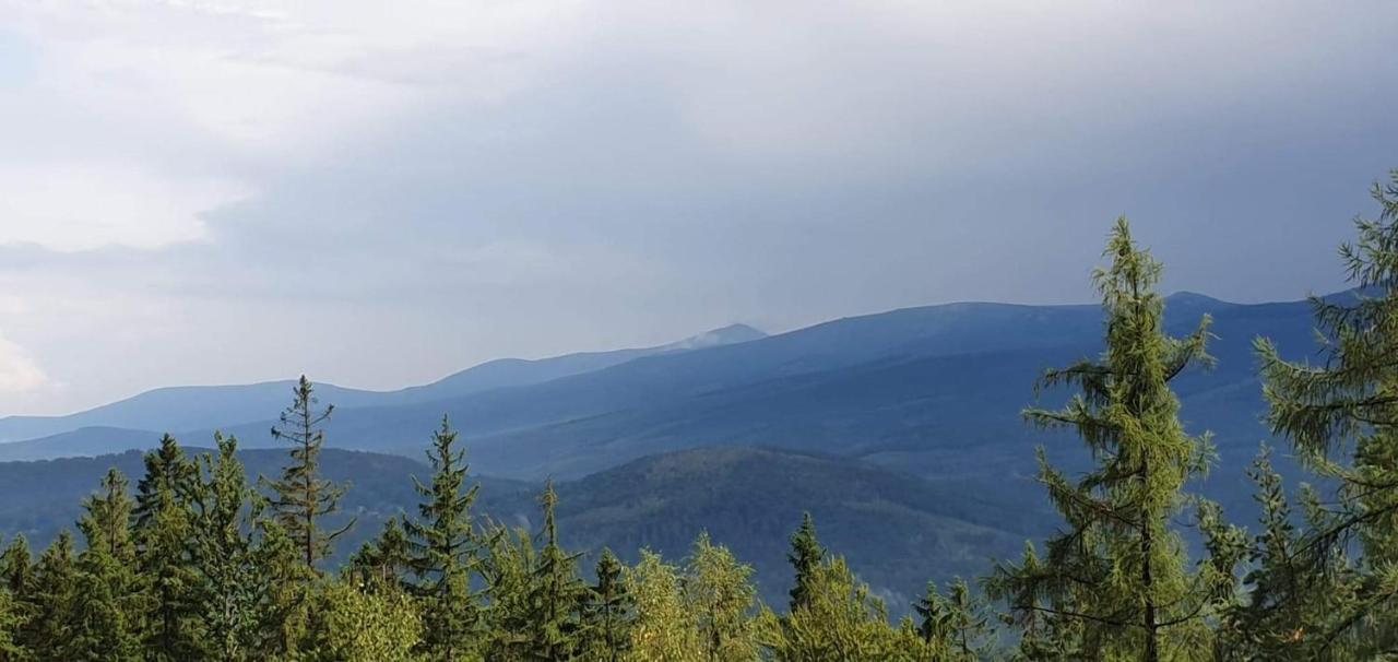 Widok Karkonosze Apartment Schreiberhau