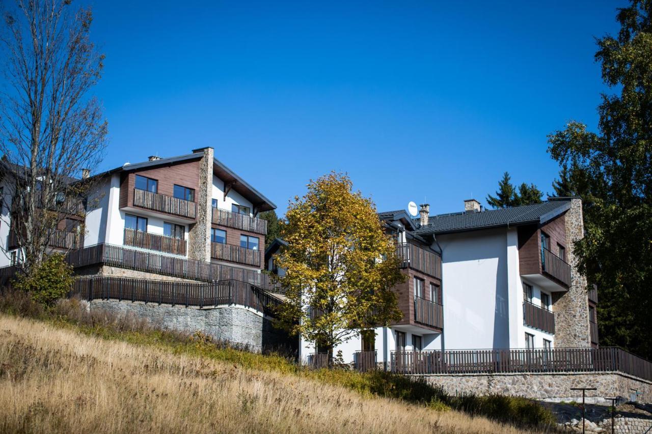 Widok Karkonosze Apartment Schreiberhau
